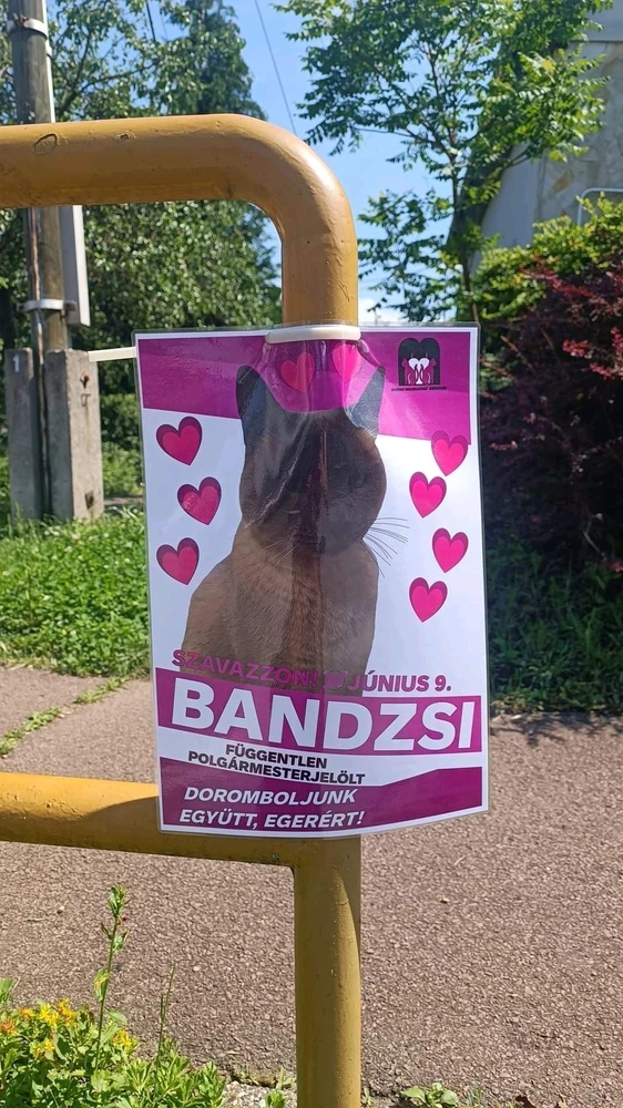 Dona 🦝👻🦝 által feltöltött kép
