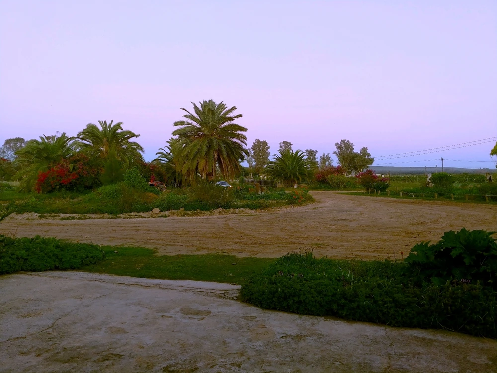 Image uploaded by Sandz