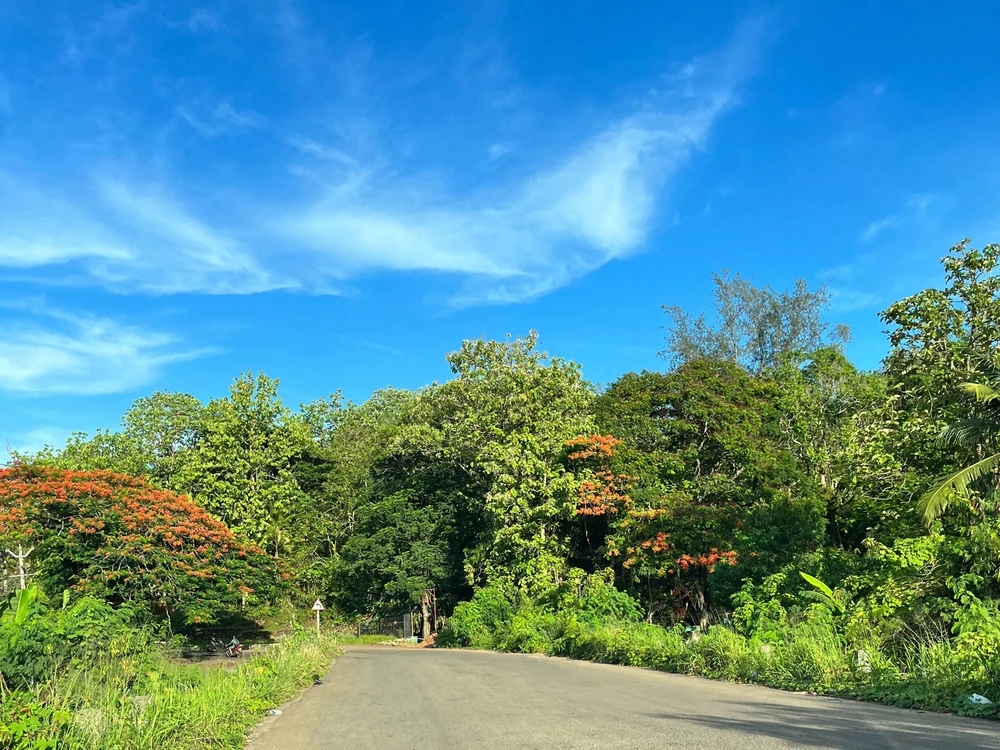 Image uploaded by Sangeetha