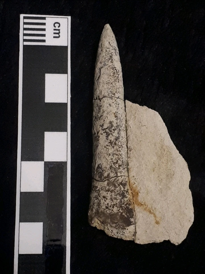 Bild hochgeladen von Herbert = ᚺᛖᚱᛒᛖᚱᛏ