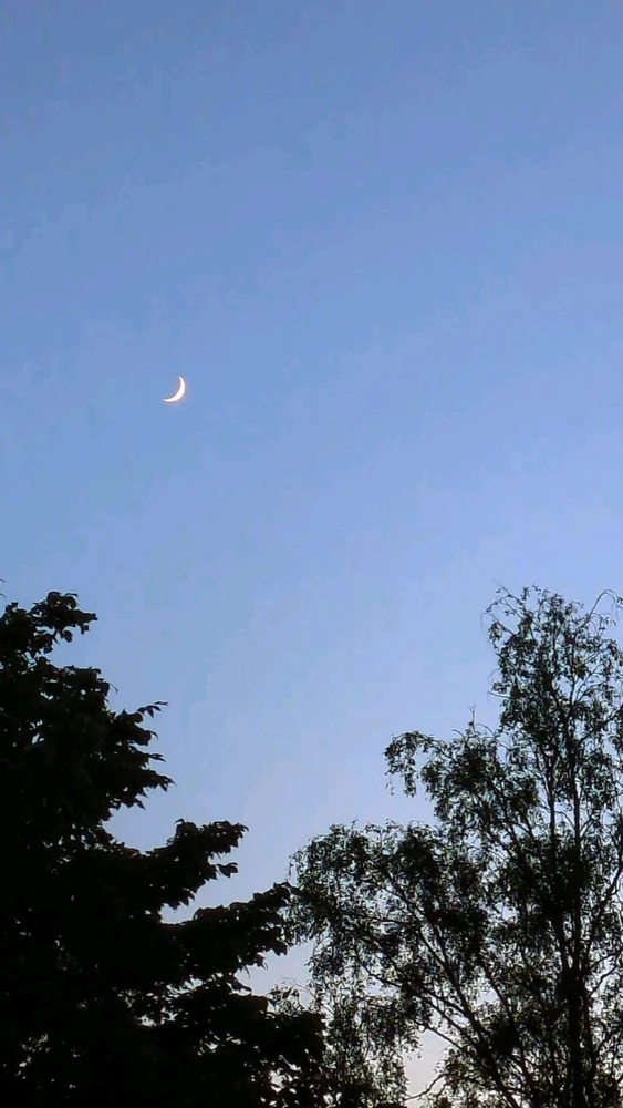 Bild hochgeladen von Dennis