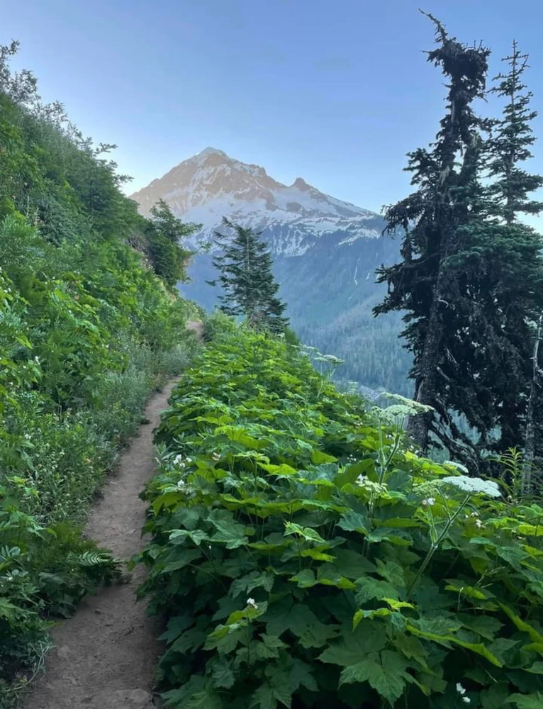 Image uploaded by Dylan