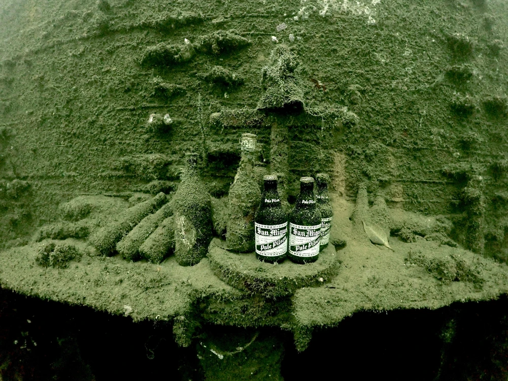 DH님이 올린 사진