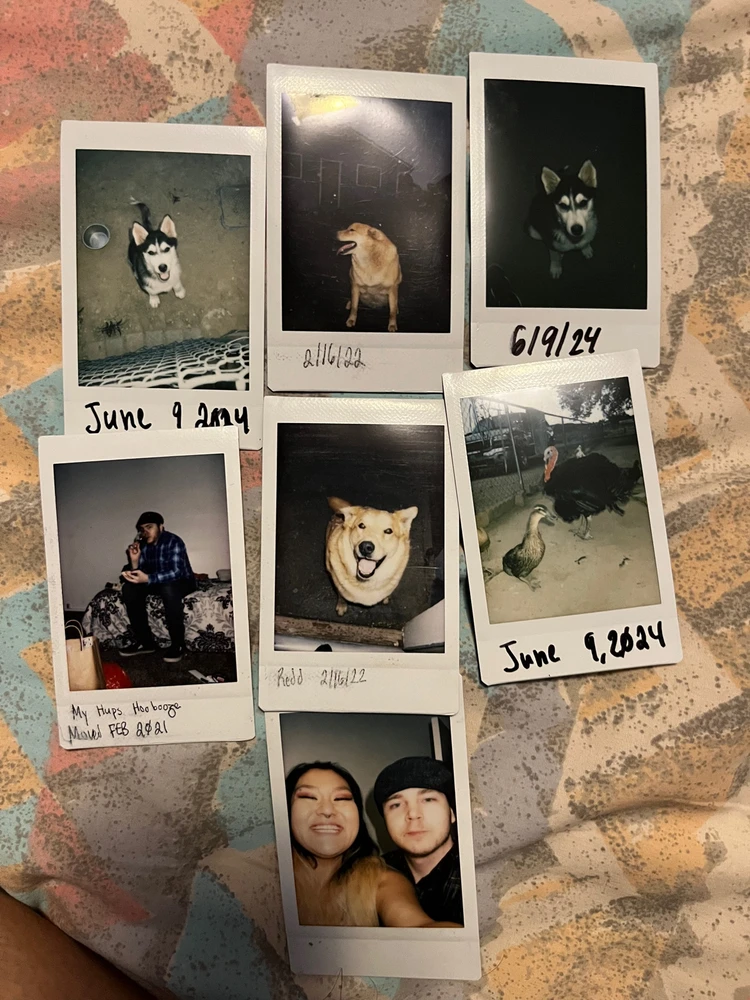 Image uploaded by Sampai