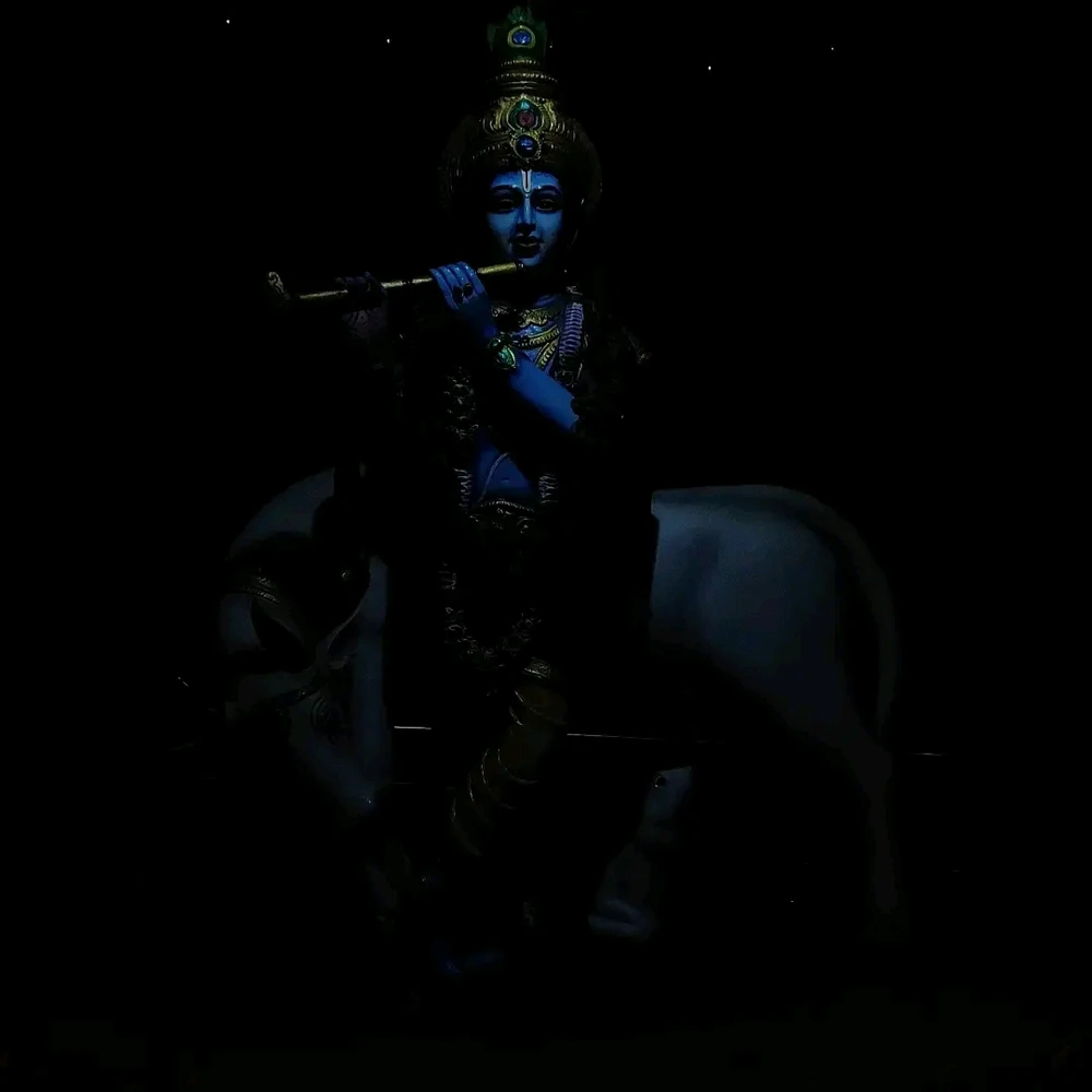 krishna is everywhere 💖✨