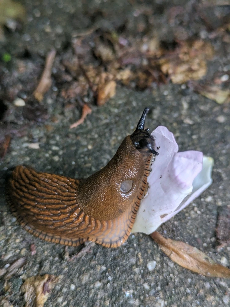 Bild hochgeladen von Eileen