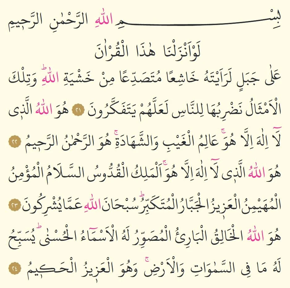 صورة رفعها Semih mutlu gemici