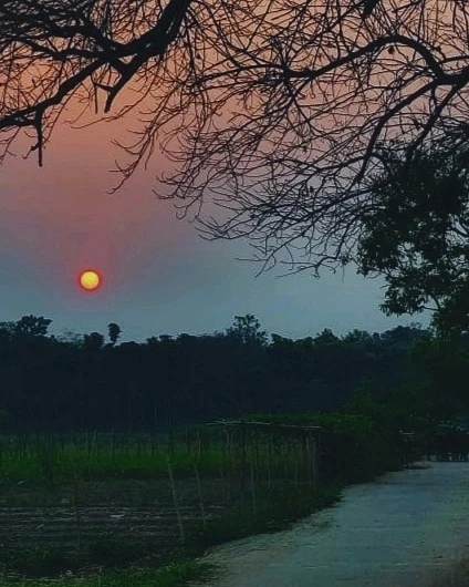 Image uploaded by Akash Sen
