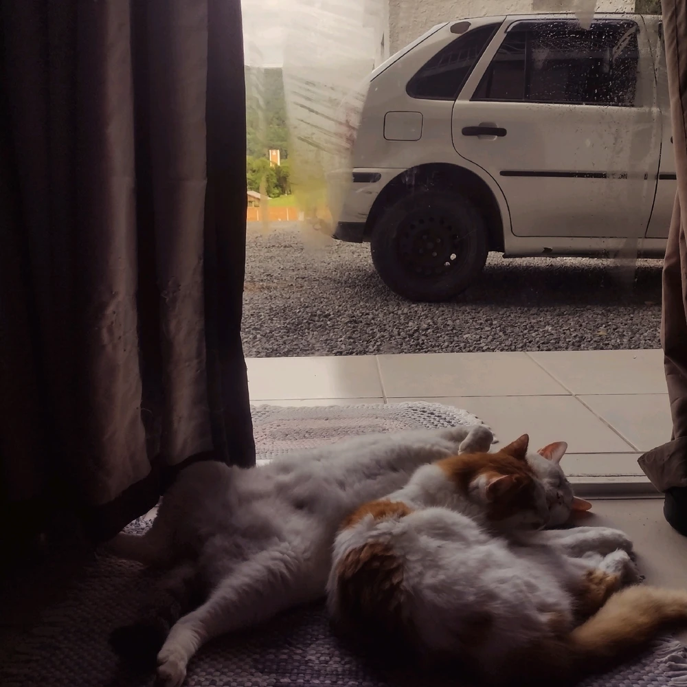 Imagem enviada por Julio