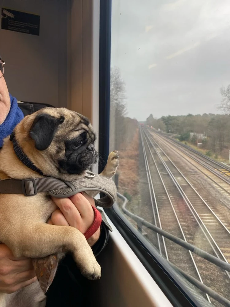 Image uploaded by Elliott