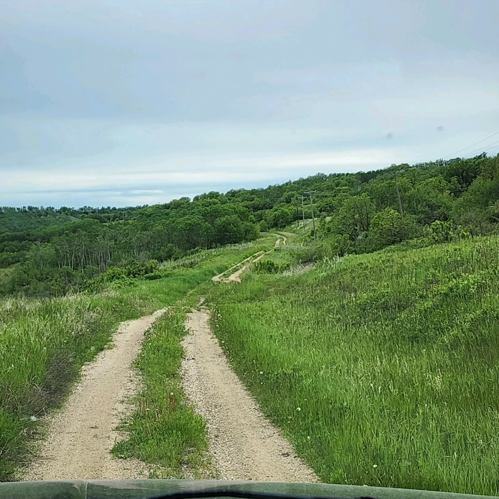 Image uploaded by 12pawsinn
