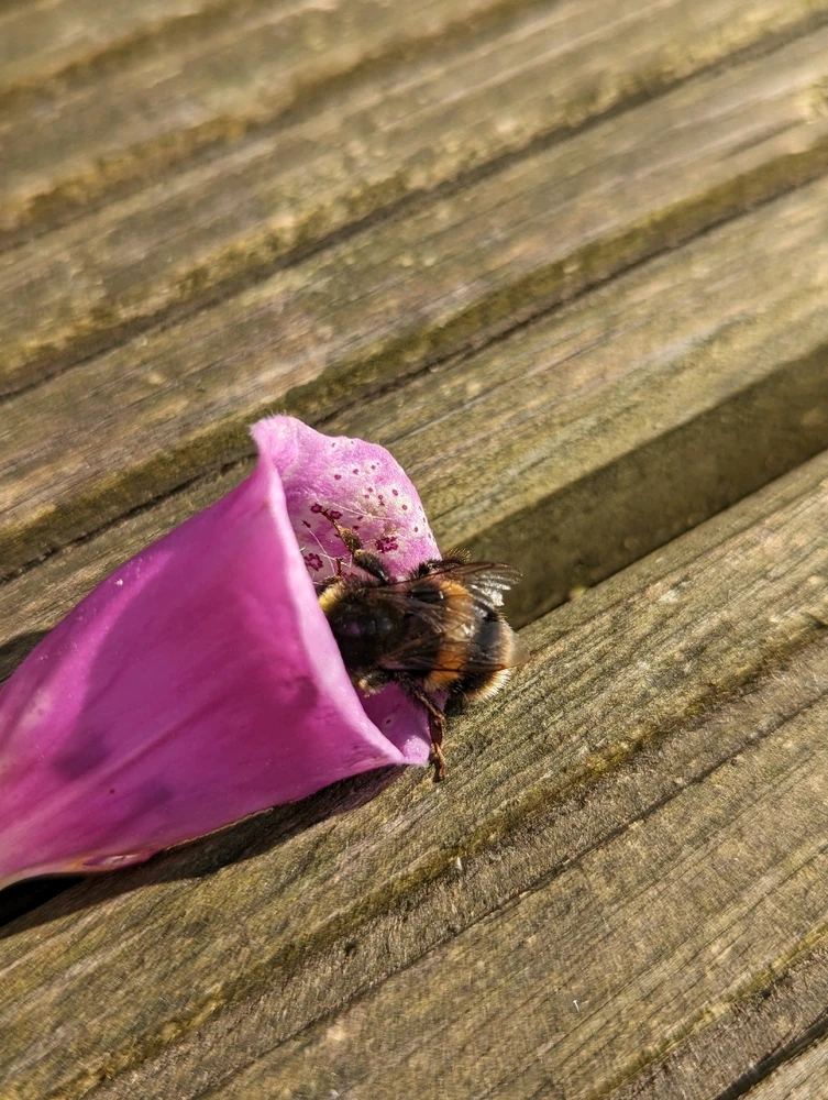 Image uploaded by Nathan