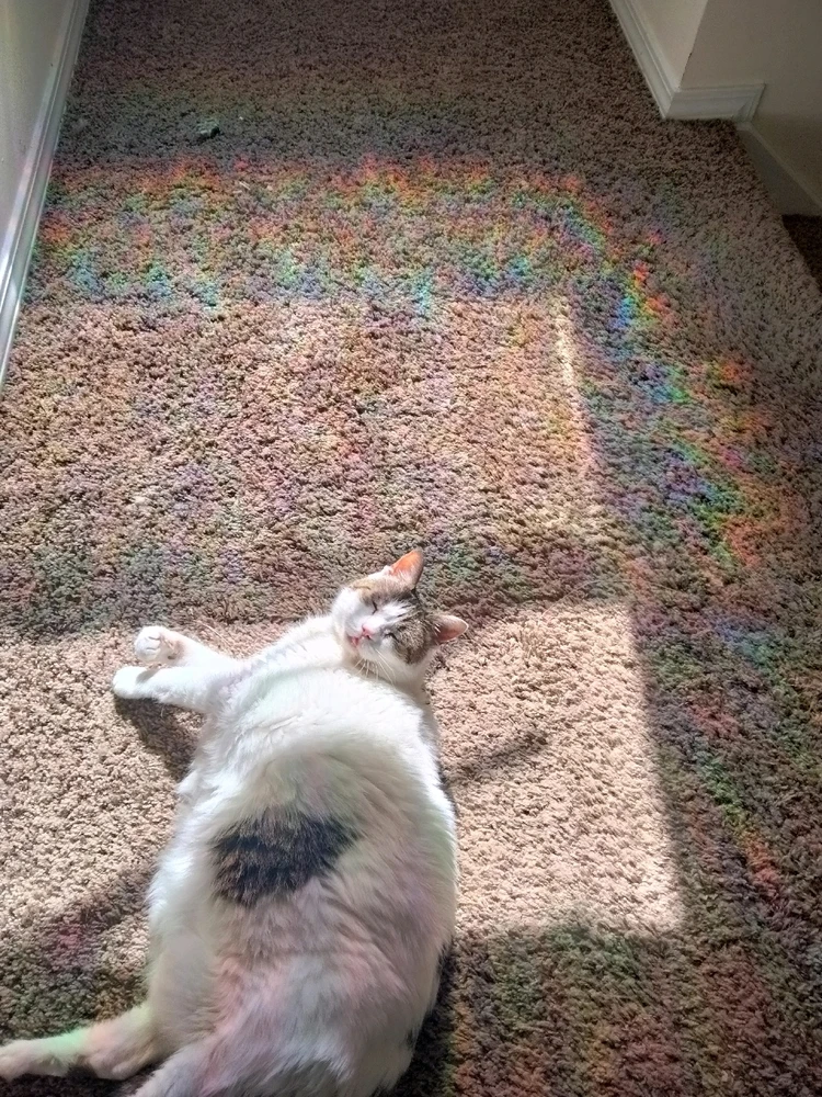 Image uploaded by Alex