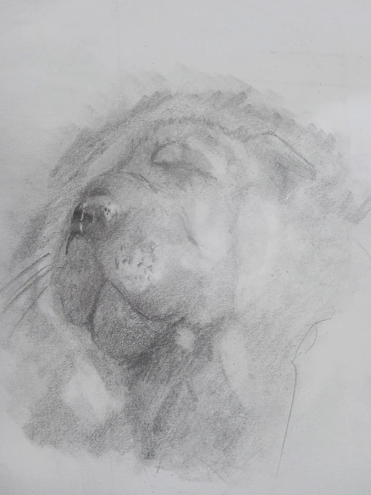 Imagen subida por Leonardo