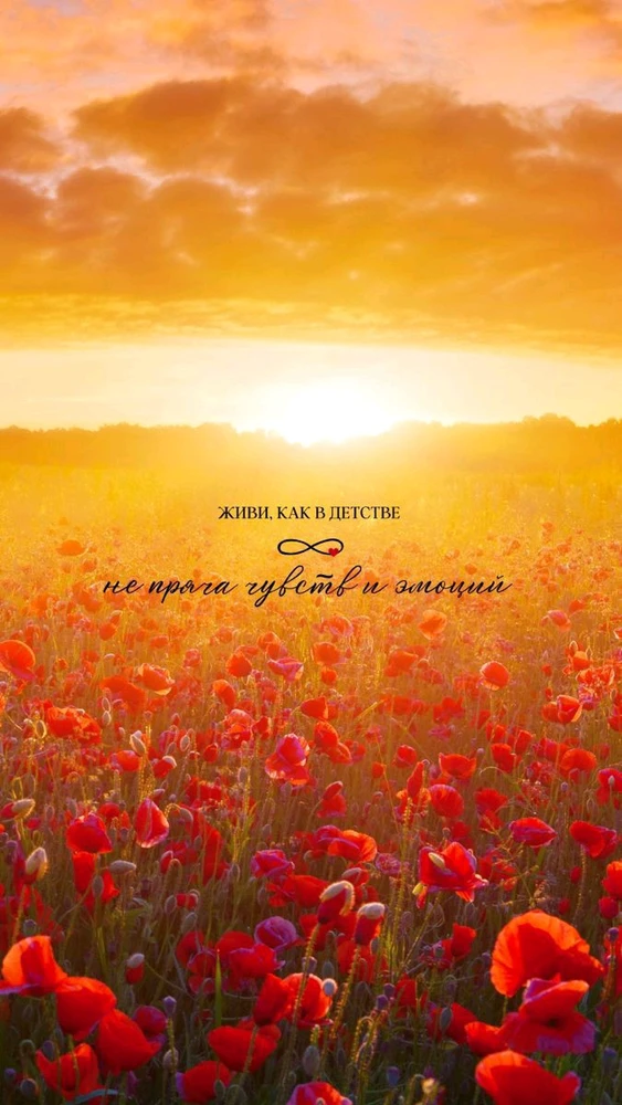 Зображення завантажив Tori