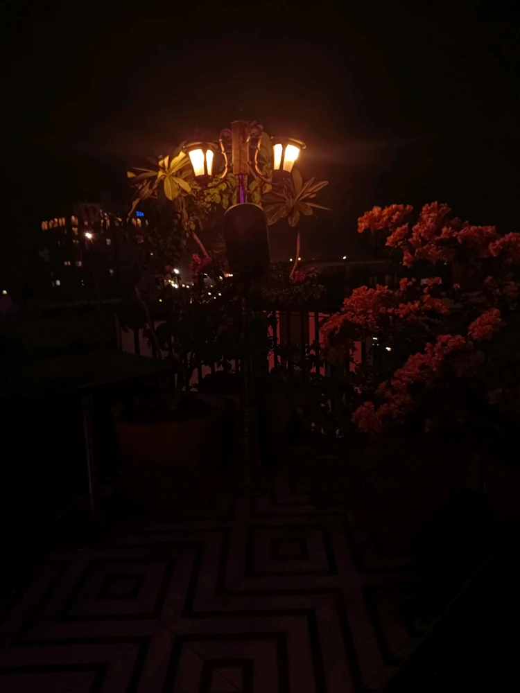 Gaurav Yadav द्वारा अपलोड की गई तस्वीर