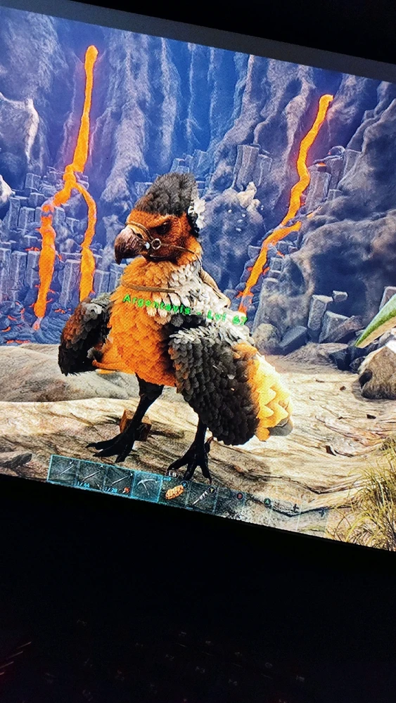 Imagem enviada por Edevair Julio Sales de Araújo