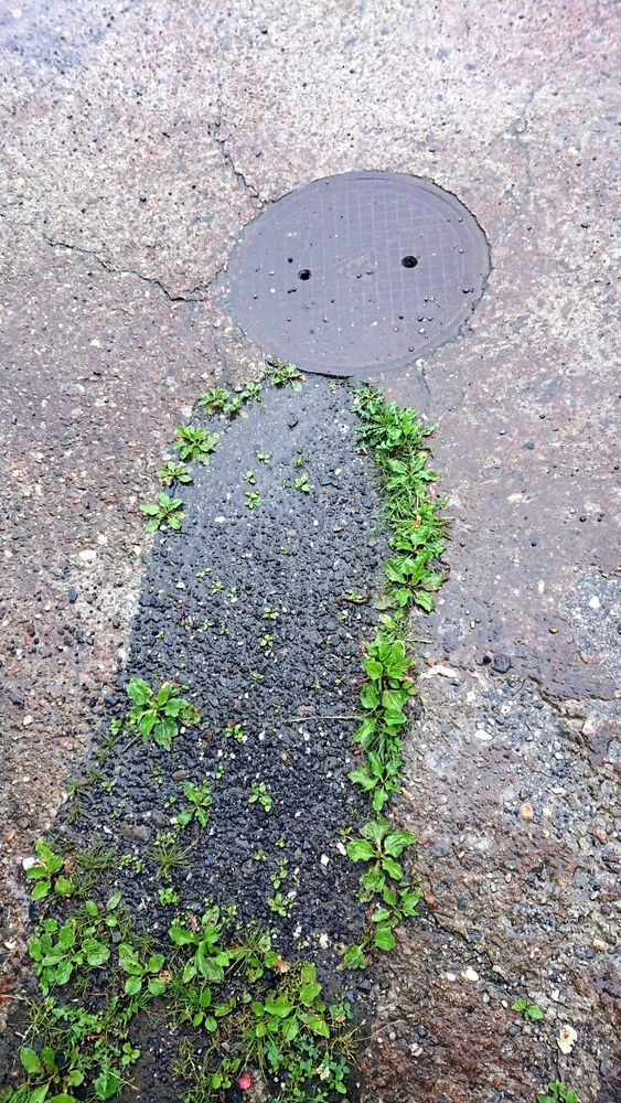 Obrázek nahrál Ondřej