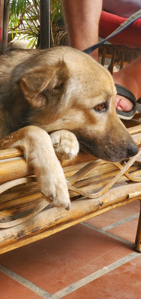 រូបភាពបង្ហោះដោយ Mark