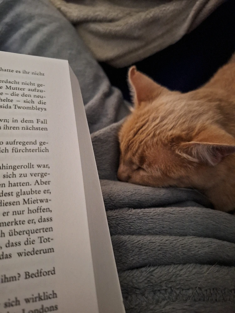 Bild hochgeladen von Tatjana