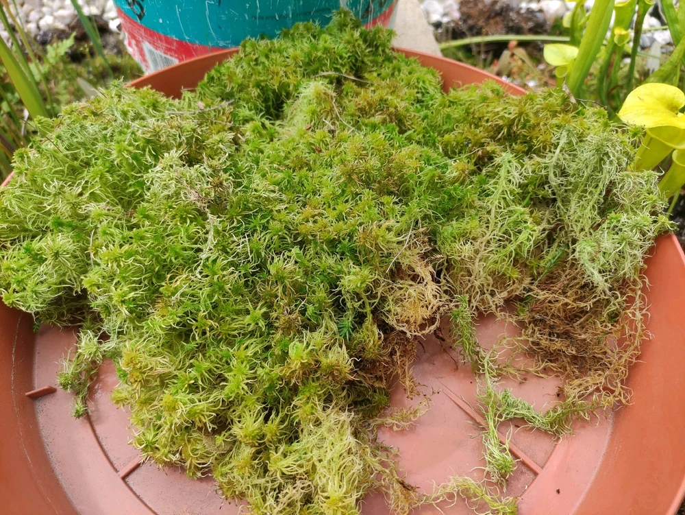 Zdjęcie dodane przez Krzysztof