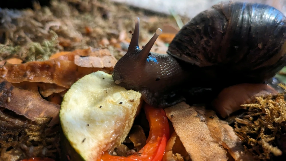 Bild hochgeladen von Eileen