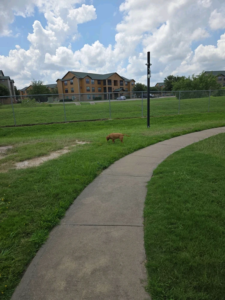 Image uploaded by Ryan