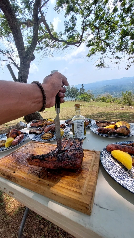 Tyler(e)k igotako irudia