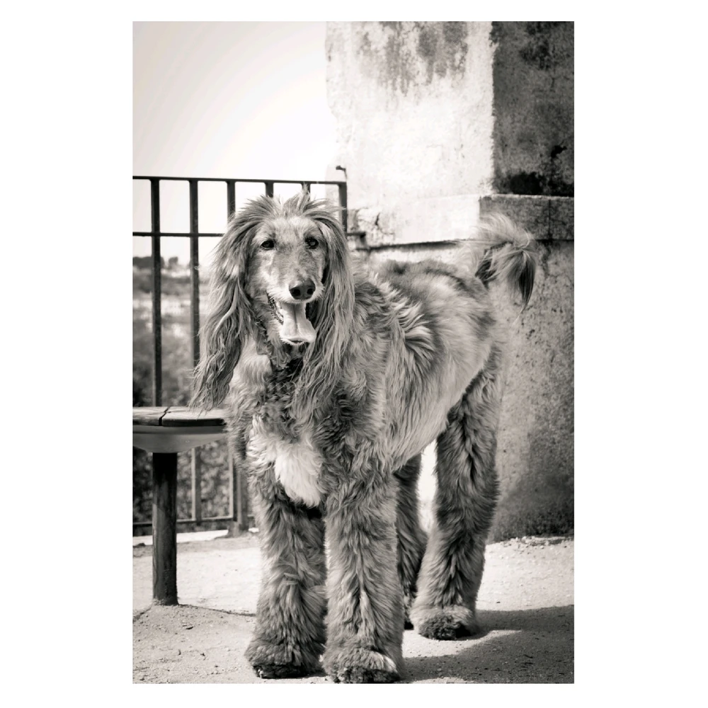 Imagen subida por Fábio