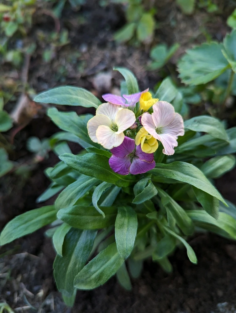 Zdjęcie dodane przez Agata J.