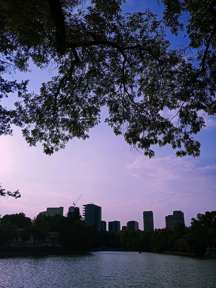El lago del parque y al fondo los edificios enmarcados por los árboles, tonos morados para un aura de misterio y tranquilidad