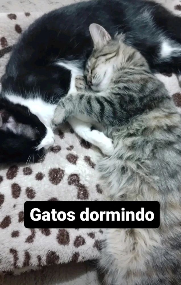 Imagem enviada por Daniel