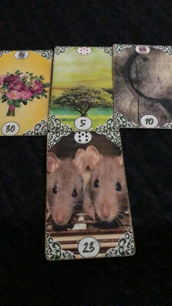 Imagem enviada por Francine