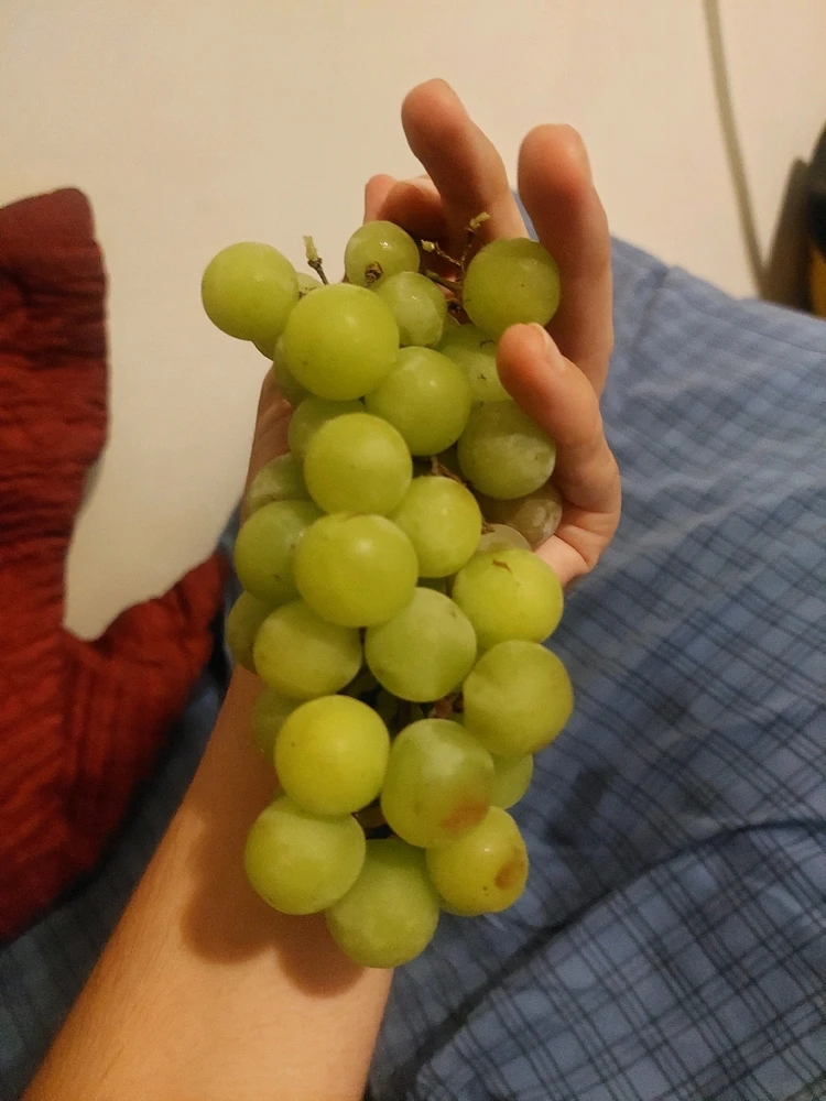 Imagen subida por Cesar