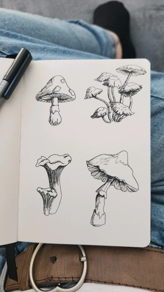 由C上传的图片