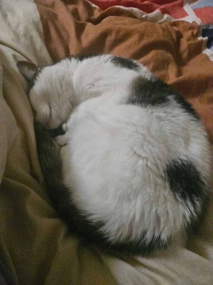 Image uploaded by Jack