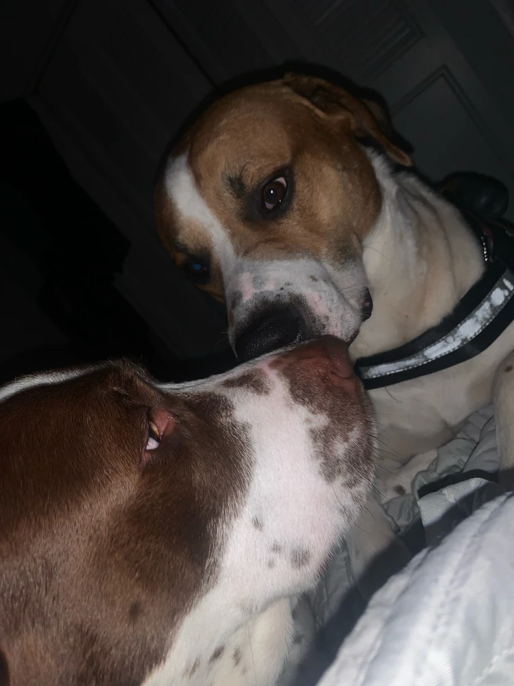 Image uploaded by Dominique