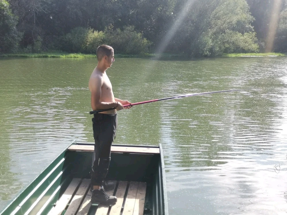 Sliku je postavio/la Nikola