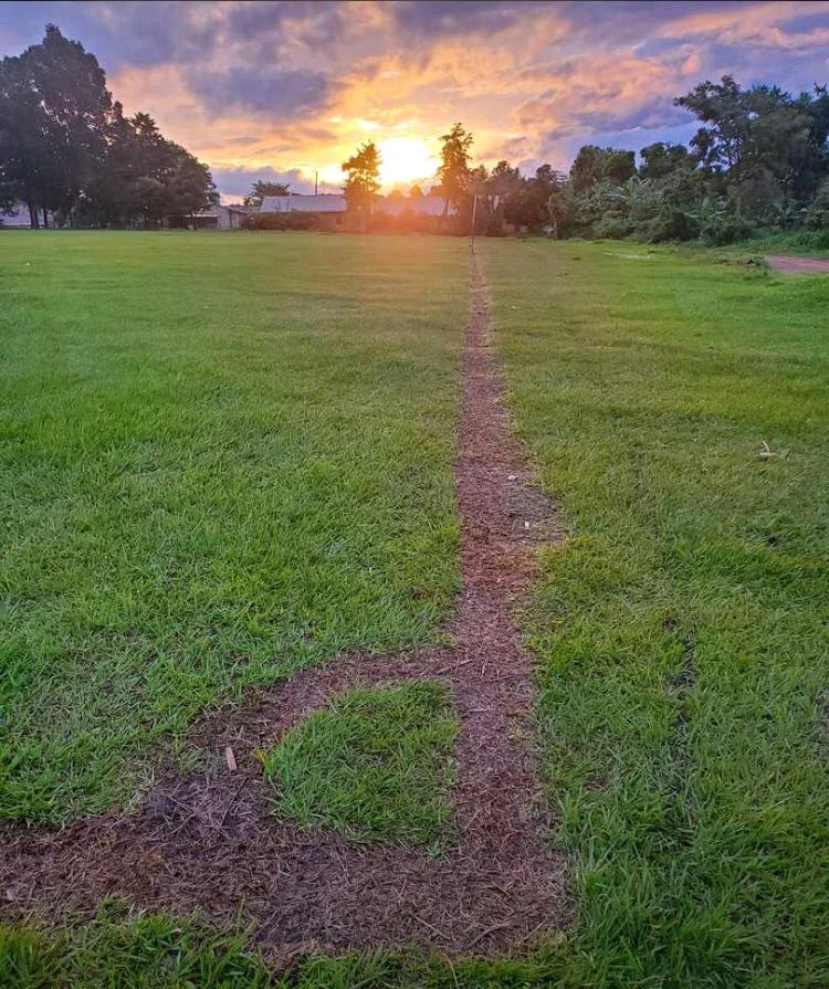 Image uploaded by Vero