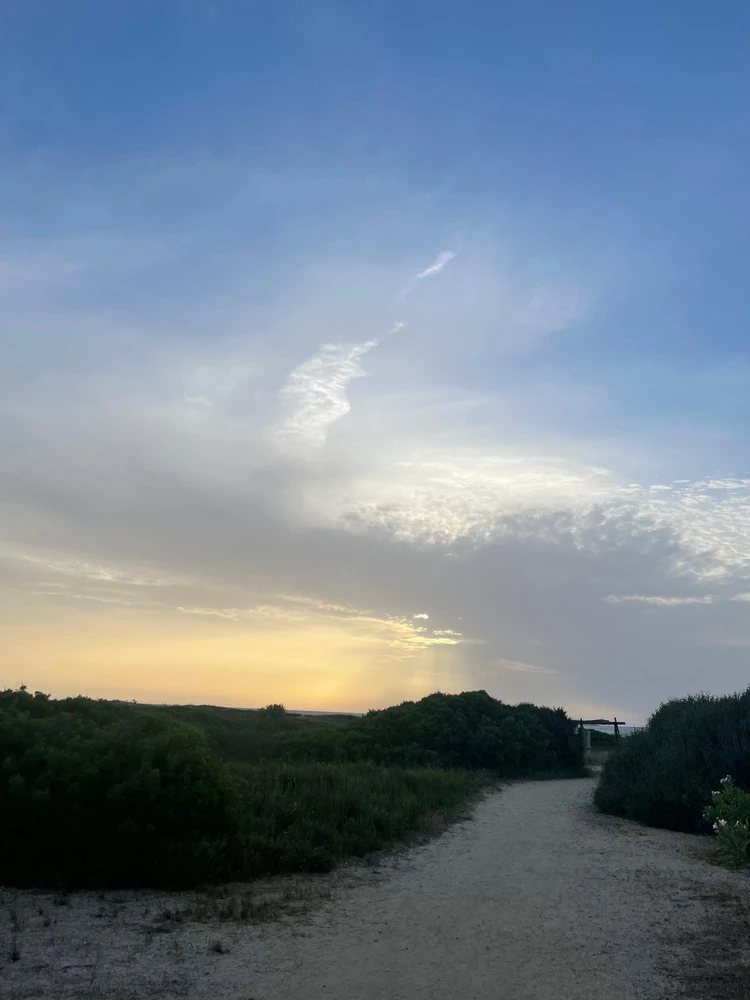 Immagine caricata da Luci