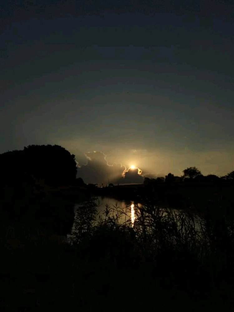 Pic with a gorgeous sunset in 🇳🇱 near a a lake/forrest .showing the sun brightly sunsetting in a special way in the 🌥 xoxo