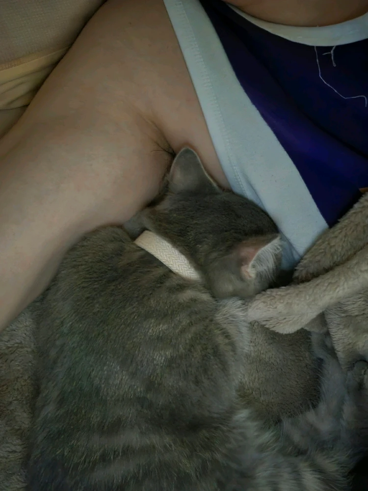 I-upload ni Aitor ang larawan