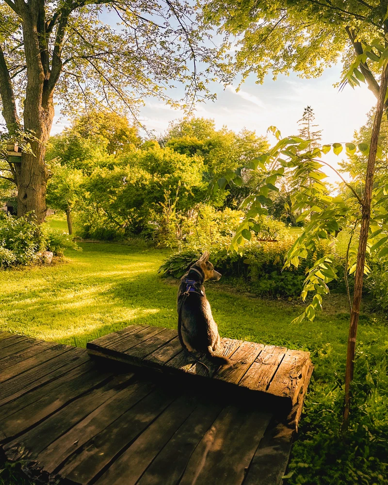 Image uploaded by Niki