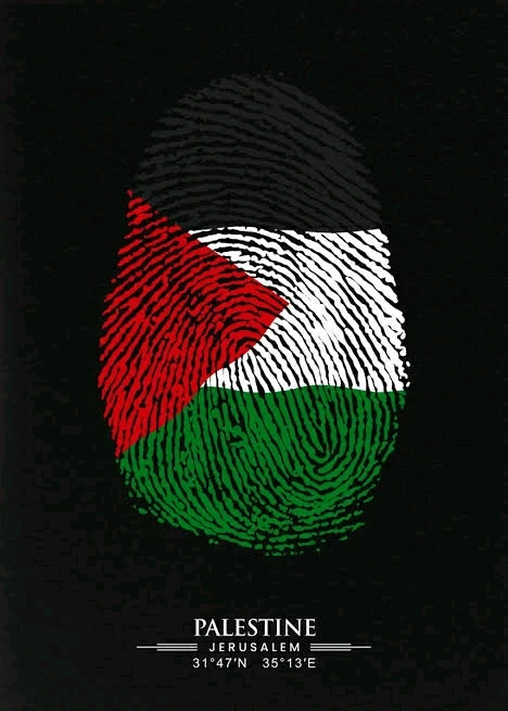 Duab xa los ntawm Youssef Kandil