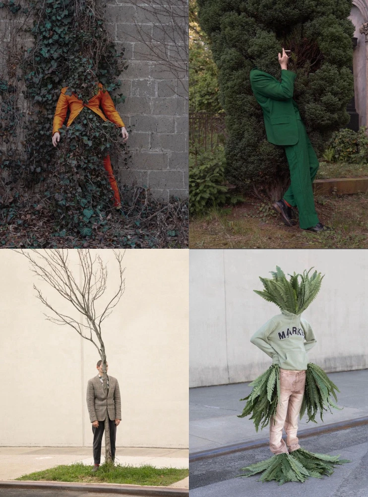 Obrázek nahrál Irónia