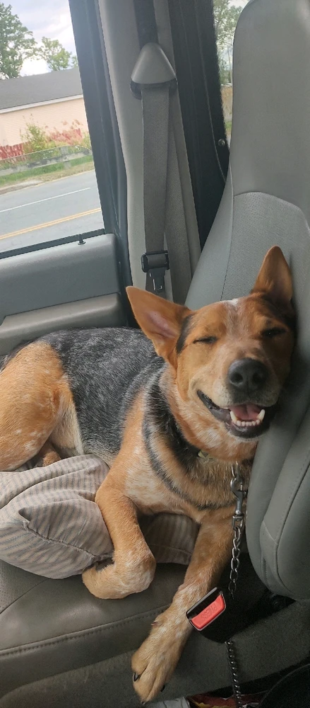 Image uploaded by Joanna