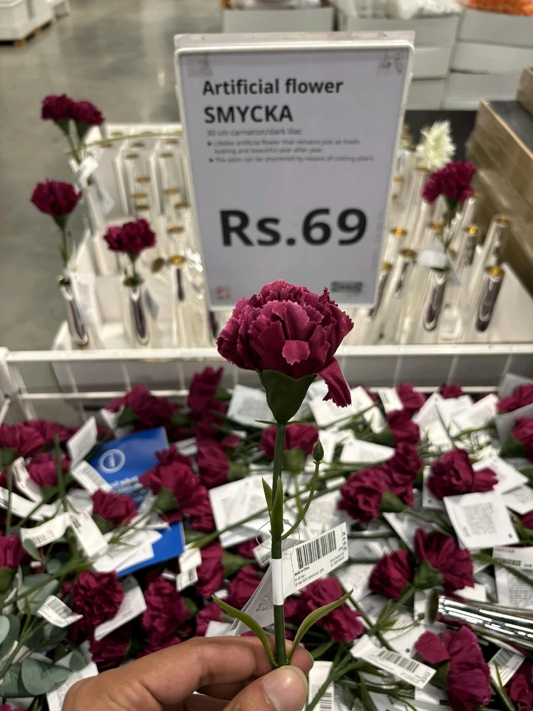 Image uploaded by Sun