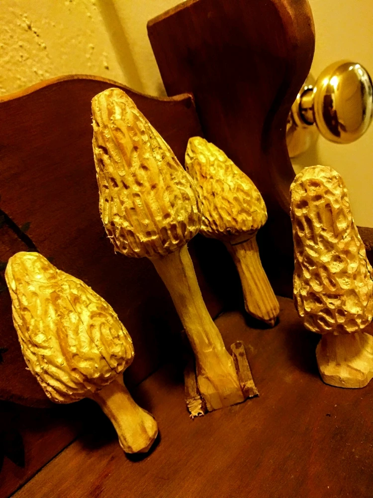 Image uploaded by Koty