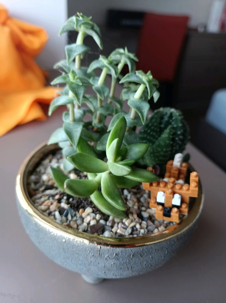 Image ajoutée par Kiliam