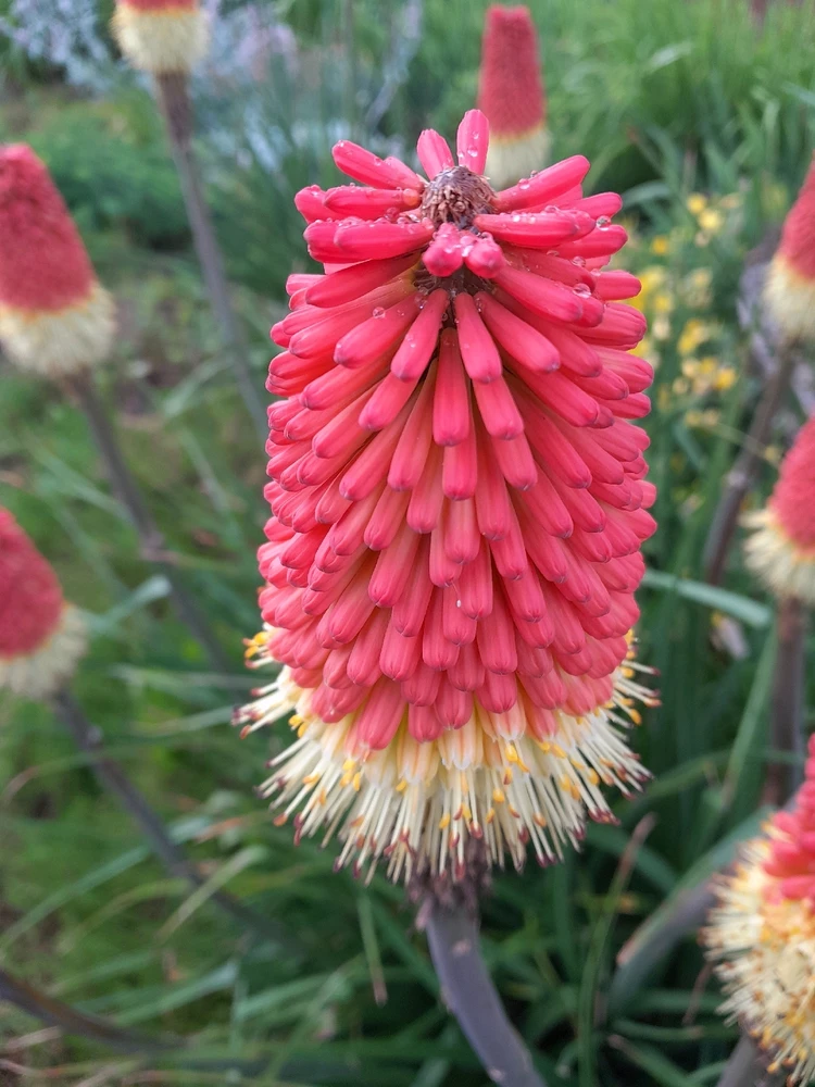 Image uploaded by Monika